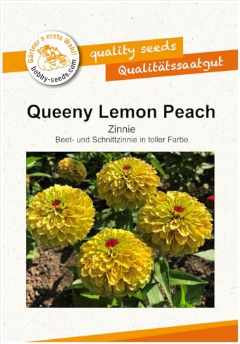 Blumensamen Queeny Lemon Peach Zinnie Portion von Gärtner's erste Wahl! bobby-seeds.com