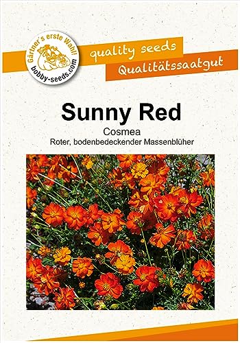 Blumensamen Sunny Red Cosmee Portion von Gärtner's erste Wahl! bobby-seeds.com