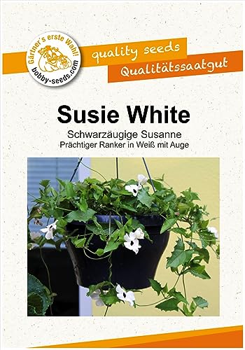 Blumensamen Susie White - Schwarzäugige Susanne Portion von Gärtner's erste Wahl! bobby-seeds.com