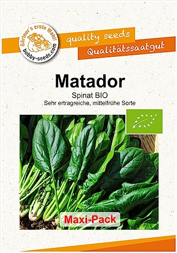 BIO-Gemüsesamen Matador Spinat Maxipack von Gärtner's erste Wahl! bobby-seeds.com