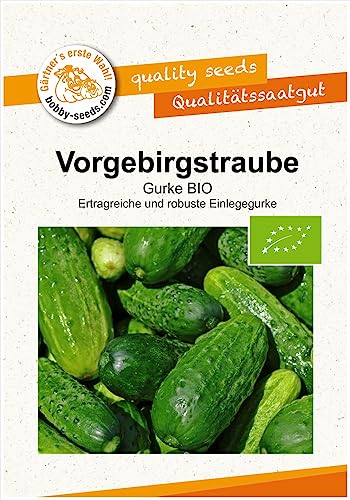 BIO-Gurkensamen Vorgebirgstraube Einlegegurke Portion von Gärtner's erste Wahl! bobby-seeds.com