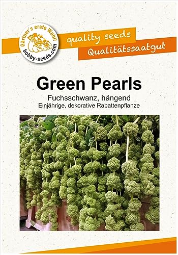 Blumensamen Green Pearls, Amaranthus Portion von Gärtner's erste Wahl! bobby-seeds.com