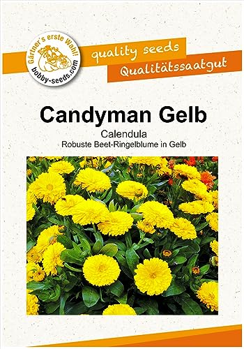 Blumensamen Candyman Gelb Calendula Portion von Gärtner's erste Wahl! bobby-seeds.com