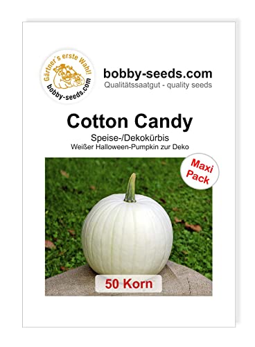 Bobby-Seeds Kürbissamen Cotton Candy 50 Korn von Gärtner's erste Wahl! bobby-seeds.com