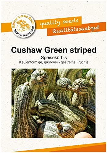 Bobby-Seeds Kürbissamen Cushaw Green striped Portion von Gärtner's erste Wahl! bobby-seeds.com