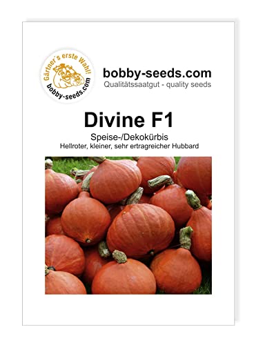 Bobby-Seeds Kürbissamen Divine F1 Portion von Gärtner's erste Wahl! bobby-seeds.com