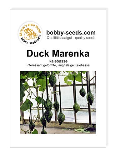 Duck Marenka Kürbissamen von Bobby-Seeds, Portion von Gärtner's erste Wahl! bobby-seeds.com