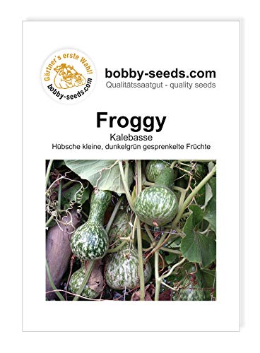 Bobby-Seeds Kürbissamen Froggy Portion von Gärtner's erste Wahl! bobby-seeds.com