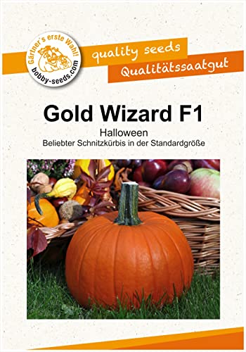 Bobby-Seeds Kürbissamen Gold Wizard F1 Portion von Gärtner's erste Wahl! bobby-seeds.com