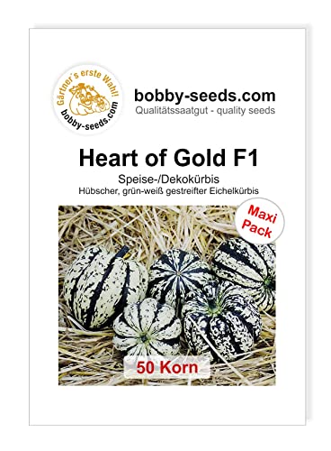 Bobby-Seeds Kürbissamen Heart of Gold F1 50 Korn von Gärtner's erste Wahl! bobby-seeds.com