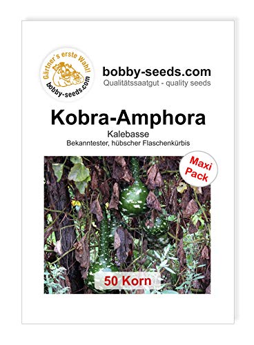 Bobby-Seeds Kürbissamen Kobra - Amphora 50 Korn von Gärtner's erste Wahl! bobby-seeds.com