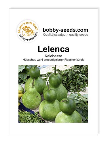 Bobby-Seeds Kürbissamen Lelenca Portion von Gärtner's erste Wahl! bobby-seeds.com