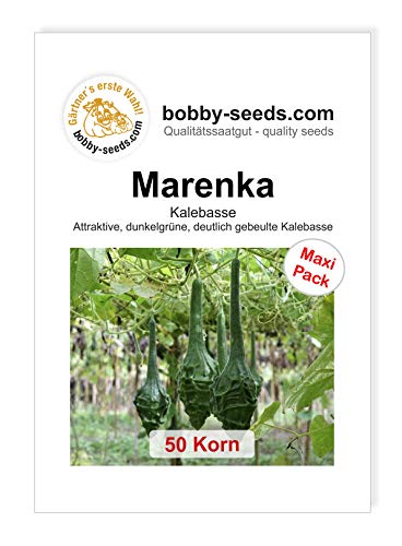 Bobby-Seeds Kürbissamen Marenka 50 Korn von Gärtner's erste Wahl! bobby-seeds.com