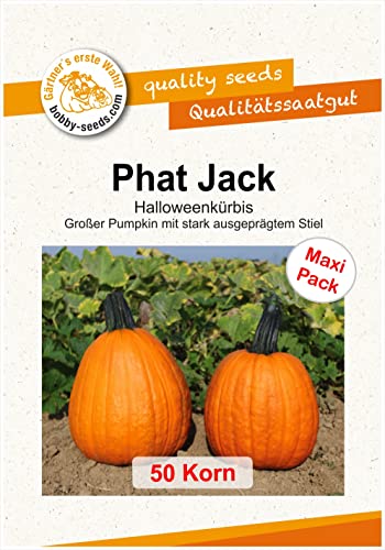 Bobby-Seeds Kürbissamen Phat Jack 50 Korn von Gärtner's erste Wahl! bobby-seeds.com