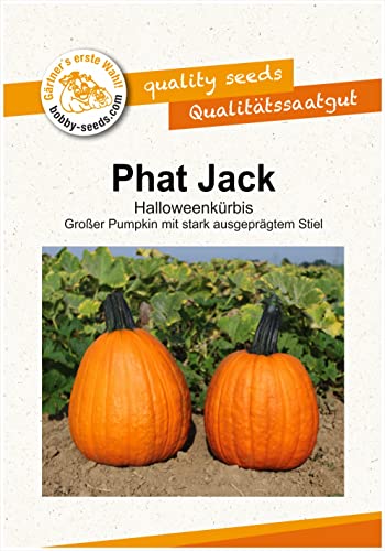 Bobby-Seeds Kürbissamen Phat Jack Portion von Gärtner's erste Wahl! bobby-seeds.com