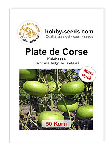 Bobby-Seeds Kürbissamen Plate de Corse 50 Korn von Gärtner's erste Wahl! bobby-seeds.com