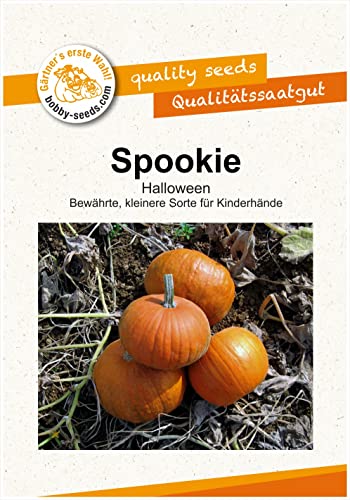 Bobby-Seeds Kürbissamen Spookie Portion von Gärtner's erste Wahl! bobby-seeds.com