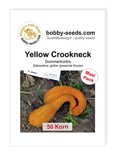 Bobby-Seeds Kürbissamen Yellow Crookneck 50 Korn Bobby-Seeds Kürbissamen Yellow Crookneck 50 Korn von Gärtner's erste Wahl! bobby-seeds.com
