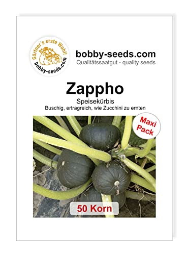 Bobby-Seeds Kürbissamen Zappho 50 Korn von Gärtner's erste Wahl! bobby-seeds.com