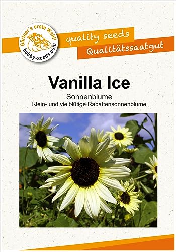 Blumensamen Vanilla Ice Sonnenblume Portion von Gärtner's erste Wahl! bobby-seeds.com