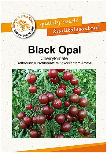 Tomatensamen Black Opal Cherrytomate Portion von Gärtner's erste Wahl! bobby-seeds.com