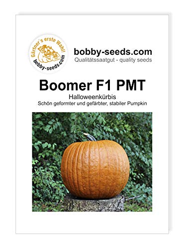 Boomer F1 PMT Kürbissamen von Bobby-Seeds Portion von Gärtner's erste Wahl! bobby-seeds.com