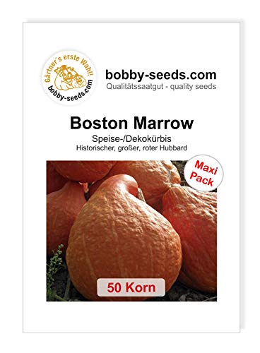 Boston Marrow Kürbissamen von Bobby-Seeds, 50 Korn von Gärtner's erste Wahl! bobby-seeds.com