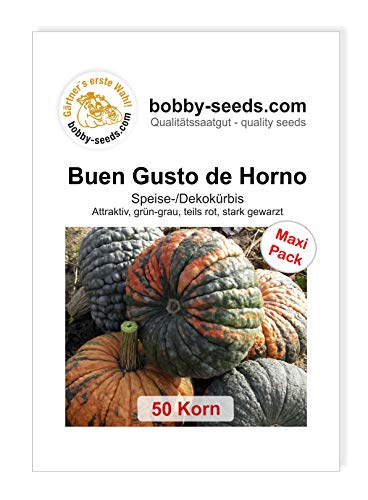 Buen Gusto de Horno Kürbissamen von Bobby-Seeds, 50 Korn von Gärtner's erste Wahl! bobby-seeds.com