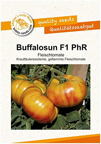 Tomatensamen Buffalosun F1 PhR, Fleischtomate Portion Tomatensamen Buffalosun F1 PhR, Fleischtomate Portion von Gärtner's erste Wahl! bobby-seeds.com