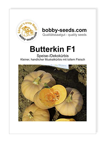Butterkin F1 Kürbissamen von Bobby-Seeds Portion von Gärtner's erste Wahl! bobby-seeds.com