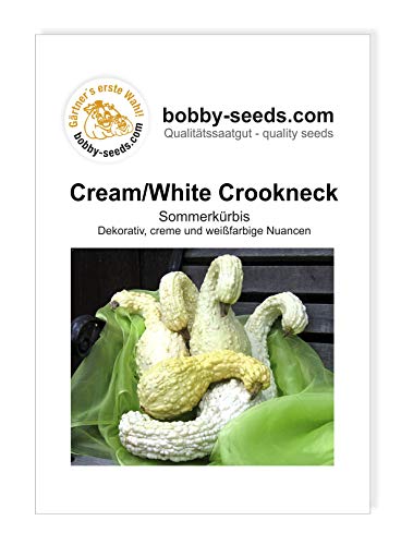 Creamwhite Crookneck Kürbissamen von Bobby-Seeds, Portion von Gärtner's erste Wahl! bobby-seeds.com