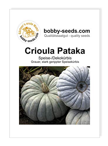 Crioula Pataka Kürbissamen von Bobby-Seeds, Portion von Gärtner's erste Wahl! bobby-seeds.com