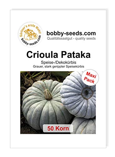 Crioula Pataka Kürbissamen von Bobby-Seeds 50 Korn von Gärtner's erste Wahl! bobby-seeds.com