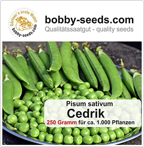 Erbsensamen Cedrik Markerbse Maxipack von Gärtner's erste Wahl! bobby-seeds.com