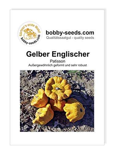 Gelber Englischer Custard Kürbissamen von Bobby-Seeds Portion von Gärtner's erste Wahl! bobby-seeds.com