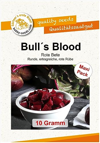 Gemüsesamen Bulls Blood, Rote Bete Maxipack von Gärtner's erste Wahl! bobby-seeds.com