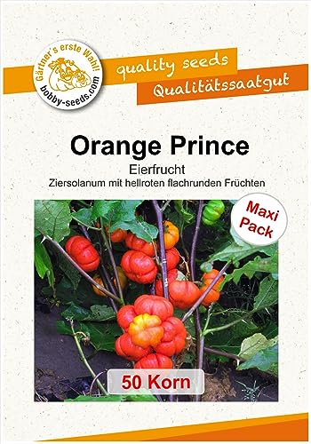 Gemüsesamen Orange Prince Eierfrucht Zier-Aubergine 50 Korn von Gärtner's erste Wahl! bobby-seeds.com