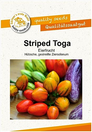 Gemüsesamen Striped Toga Eierfrucht Zier-Aubergine Portion von Gärtner's erste Wahl! bobby-seeds.com