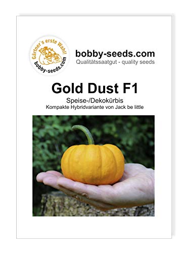 Gold Dust F1 Kürbissamen von Bobby-Seeds, Portion von Gärtner's erste Wahl! bobby-seeds.com