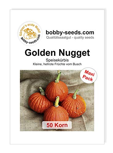 Golden Nugget Kürbissamen von Bobby-Seeds, 50 Korn von Gärtner's erste Wahl! bobby-seeds.com
