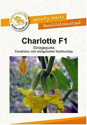 Gurkensamen Charlotte F1 Portion von Gärtner's erste Wahl! bobby-seeds.com