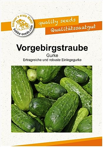 Gurkensamen Vorgebirgstraube Einlegegurke Portion von Gärtner's erste Wahl! bobby-seeds.com