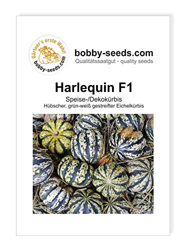 Harlequin F1 Kürbissamen von Bobby-Seeds, Portion von Gärtner's erste Wahl! bobby-seeds.com