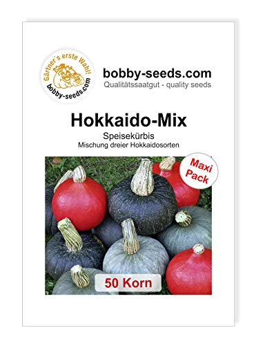 Hokkaido-Mix Kürbissamen von Bobby-Seeds, 50 Korn von Gärtner's erste Wahl! bobby-seeds.com