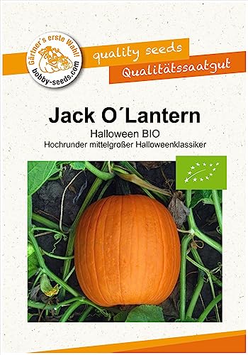 Jack O Lantern BIO Kürbissamen von Bobby-Seeds Portion von Gärtner's erste Wahl! bobby-seeds.com