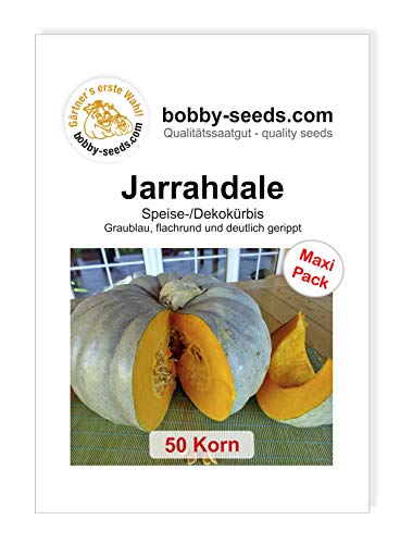 Jarrahdale Kürbissamen von Bobby-Seeds 50 Korn von Gärtner's erste Wahl! bobby-seeds.com