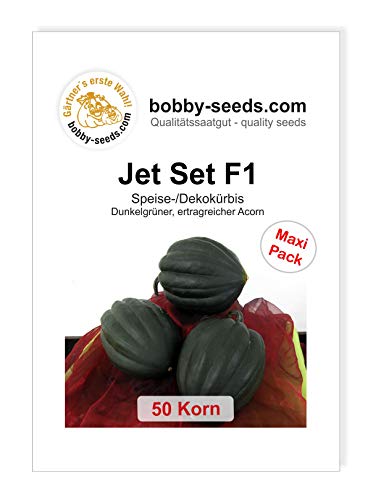 Jet Set F1 Kürbissamen von Bobby-Seeds, 50 Korn von Gärtner's erste Wahl! bobby-seeds.com