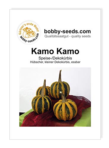 Kamo Kamo Kürbissamen von Bobby-Seeds, Portion von Gärtner's erste Wahl! bobby-seeds.com