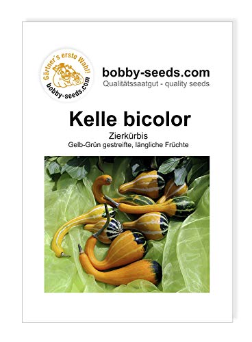 Kelle Bicolor Zierkürbis von Bobby-Seeds, Portion von Gärtner's erste Wahl! bobby-seeds.com