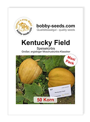 Kentucky Field Kürbissamen von Bobby-Seeds, 50 Korn von Gärtner's erste Wahl! bobby-seeds.com